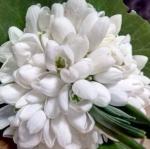 Юлия Кузьмина