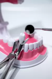 Фотография Дентоша 5